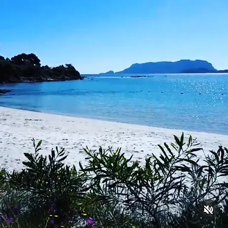 Porto Turistico Mare *