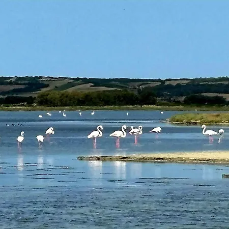 Porto Turistico Mare Διαμέρισμα
